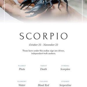 Meet your Posher, Yusniel